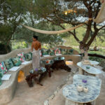 FD0264FF-7FC6-408D-926C-F803F782BF27