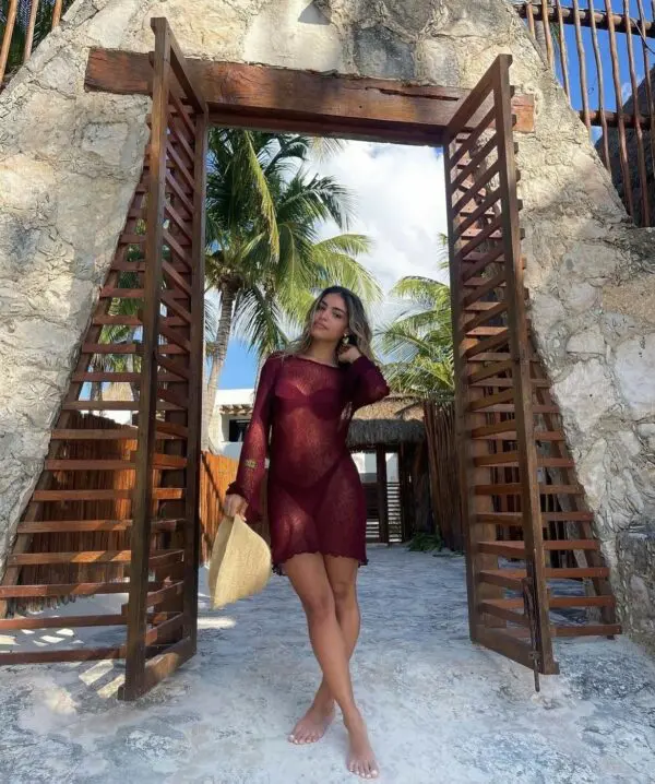 MIMOSA MINI Sheer Long-sleeved Mini Dress With Open Back-Burgundy - Image 2