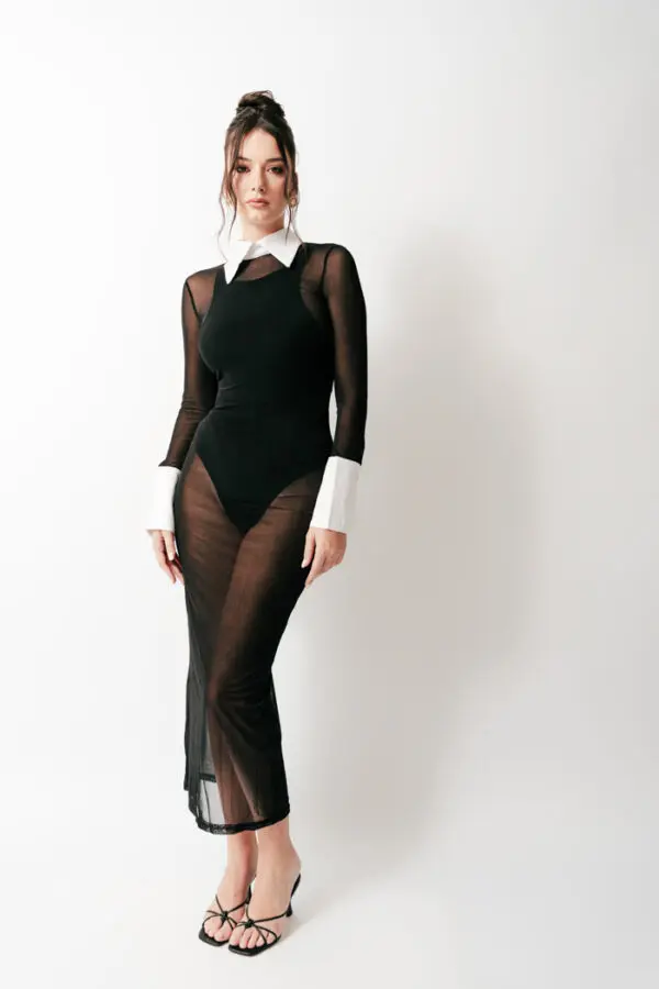 Sheer Long Sleeve Maxi Dress With Collar And Shirt Sleeve Details - Image 3